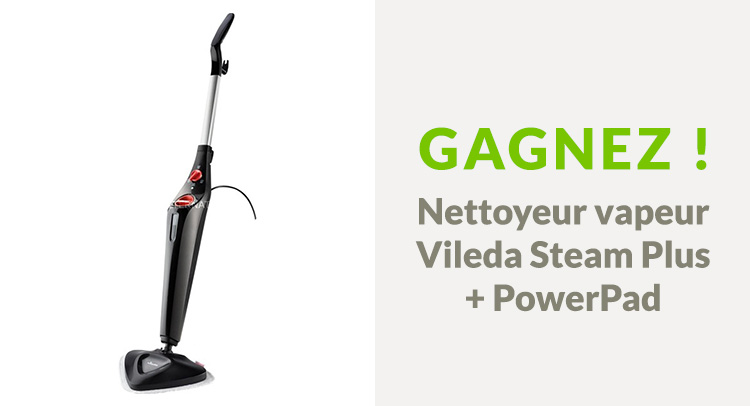 Nettoyeur vapeur Vileda Steam Plus + PowerPad 